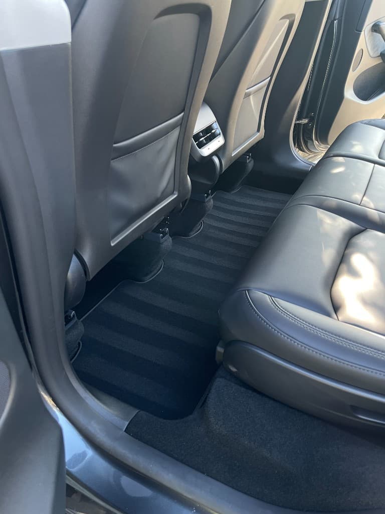 Tesla wheel and tire — cleaned and dressed