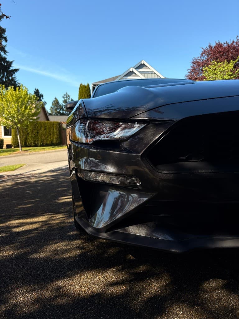 Ford Mustang front fascia and paint reflections