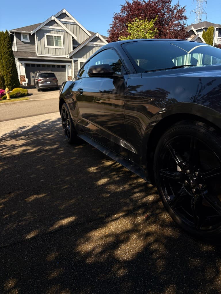 Ford Mustang side profile — glossy finish in sunlight
