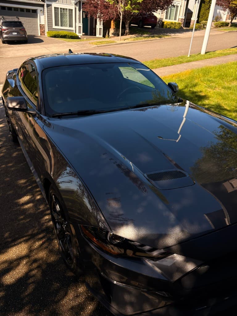 Ford Mustang hood and windshield finish after detail