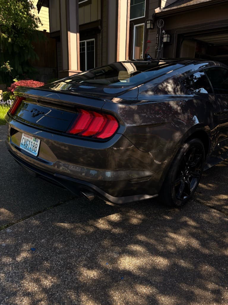 Ford Mustang rear quarter and taillights after detail