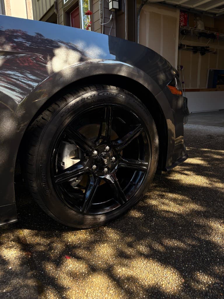 Ford Mustang wheel and tire close-up after detail