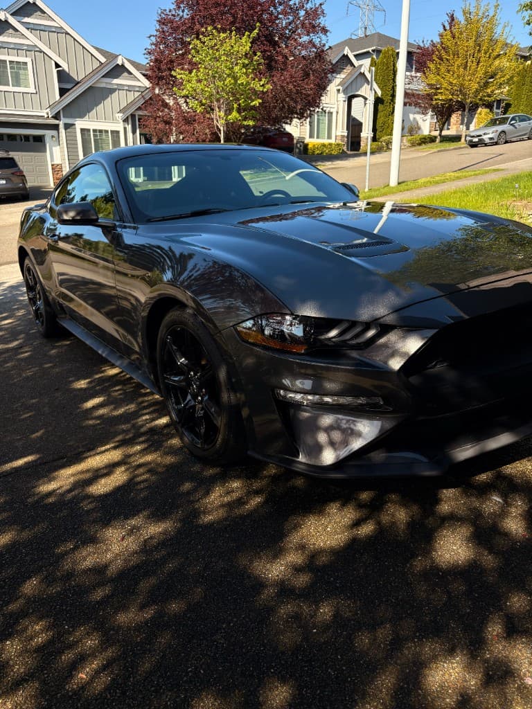 Ford Mustang three-quarter front view after detail